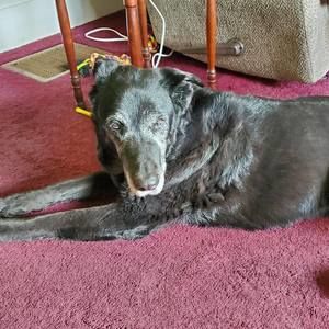 Meet your Posher, Erika